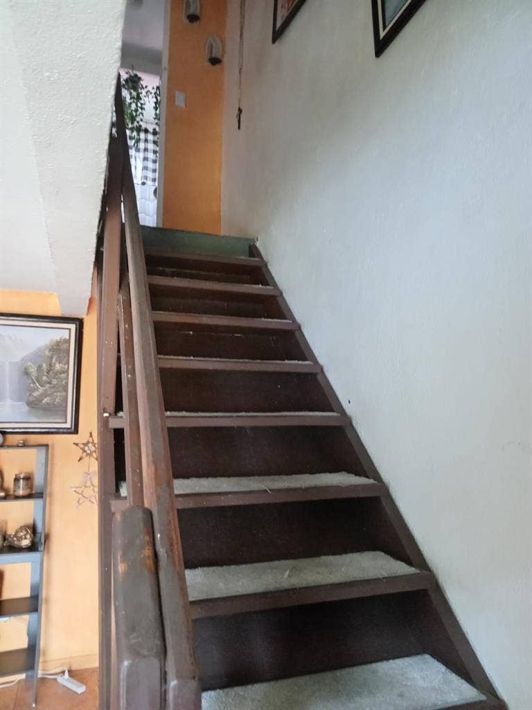 Busco roomate, Lagunilla Las flores