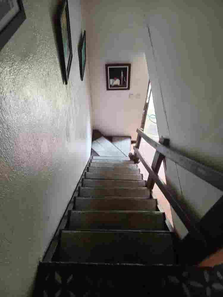 Busco roomate, Lagunilla Las flores