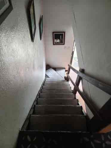 Busco roomate, Lagunilla Las flores