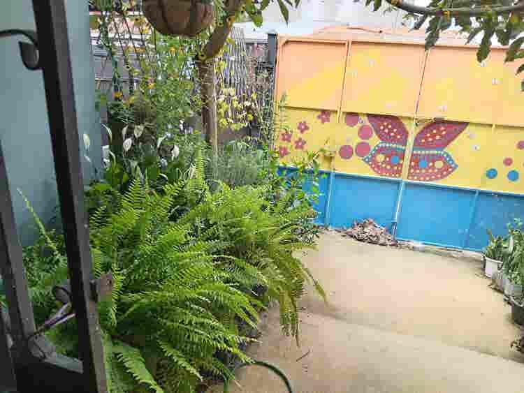 Busco roomate, Lagunilla Las flores