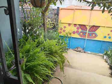 Busco roomate, Lagunilla Las flores
