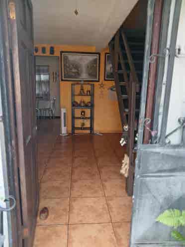 Busco roomate, Lagunilla Las flores