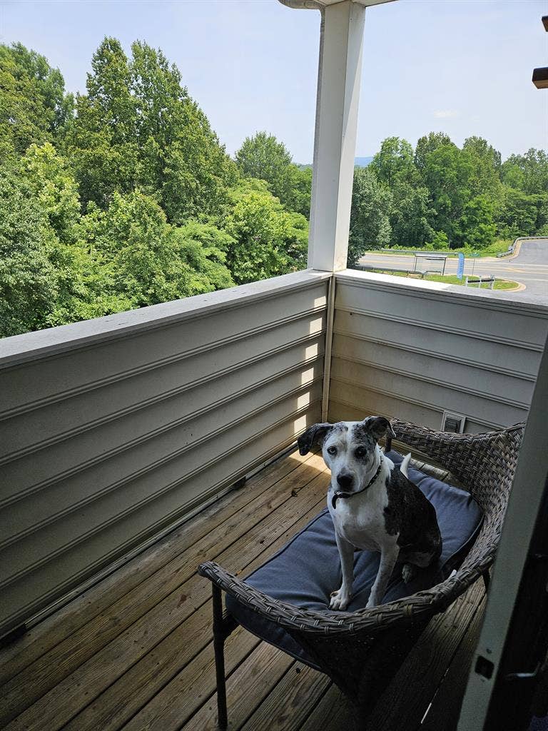 New lease would start August 1st