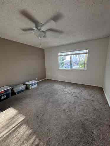 UCSD-spacious room in La Jolla !