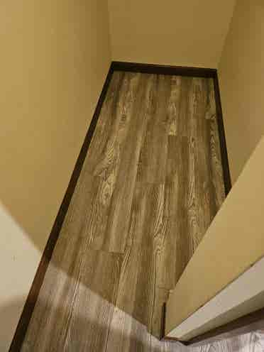 ✨Room & Bath 4 Rent in W. Seattle✨️