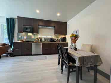 1BR Apt. in Prime Downtown Davis