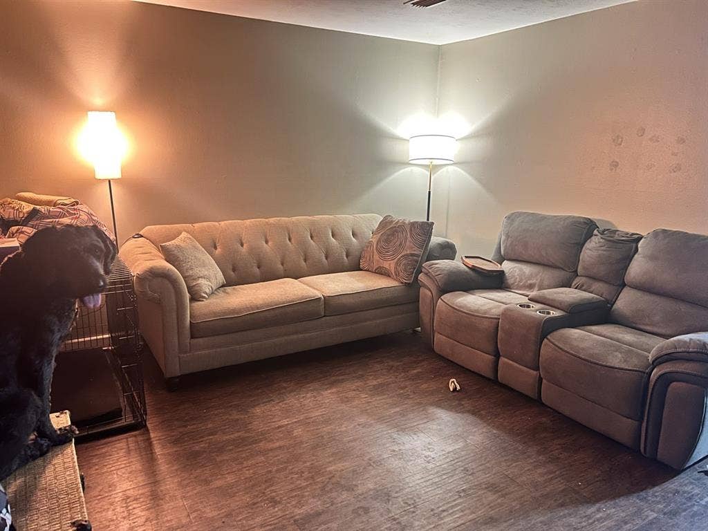 Spacious nerd dwelling