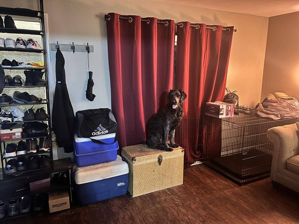 Spacious nerd dwelling
