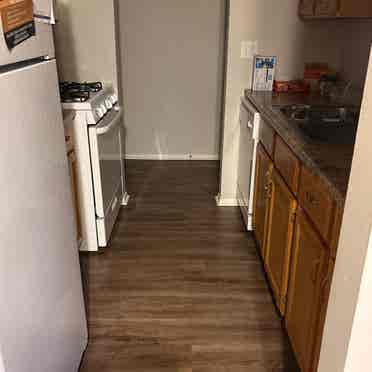New Listing