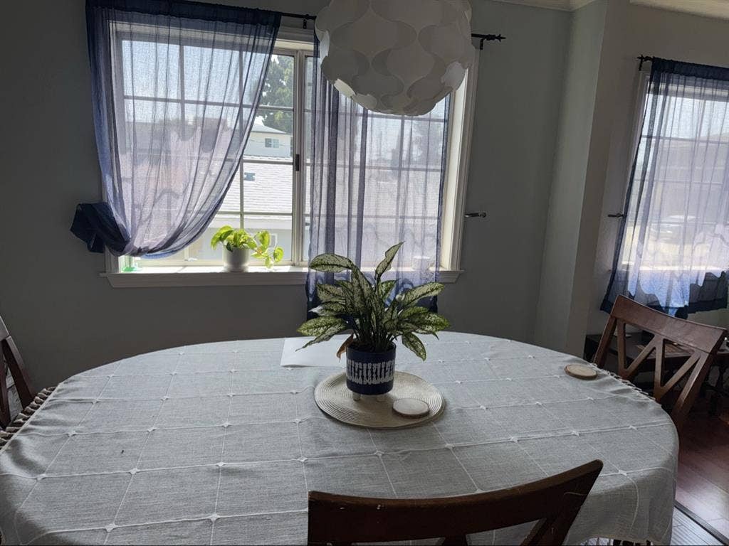 Seeking Friendly Roomie!