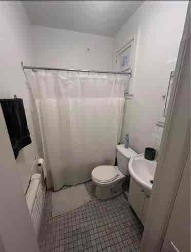 Roommate wanted for
