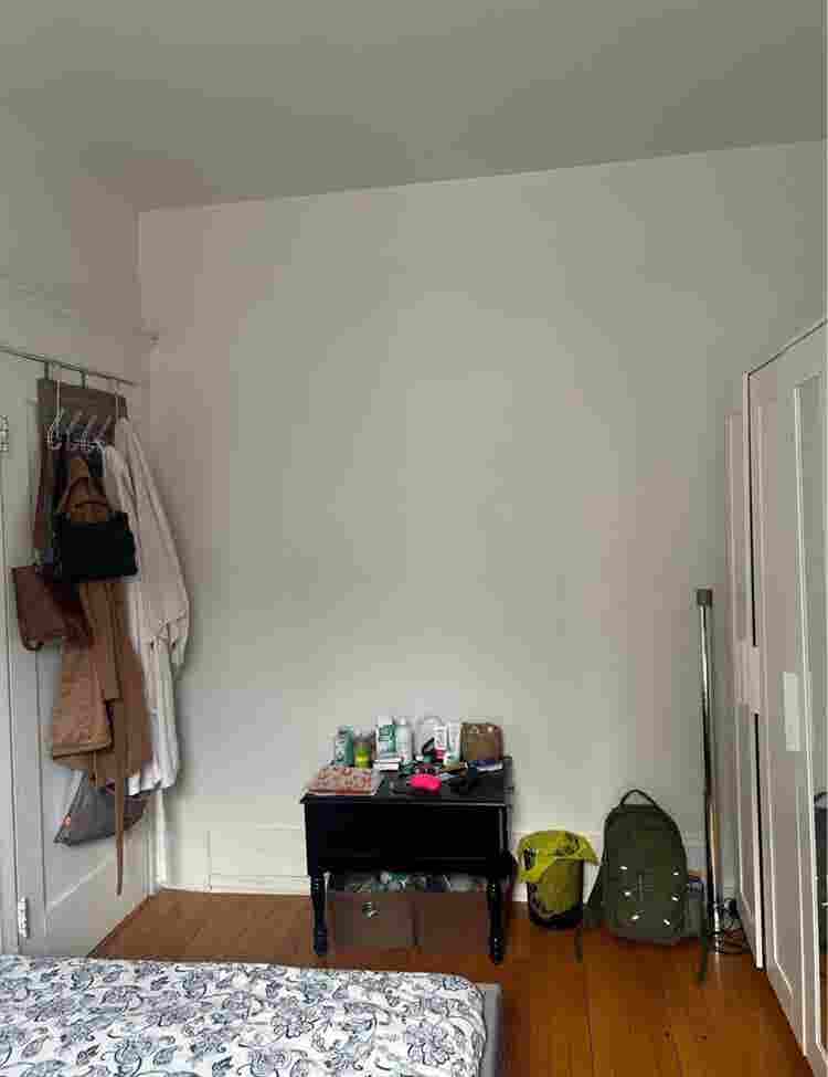 Roommate wanted for