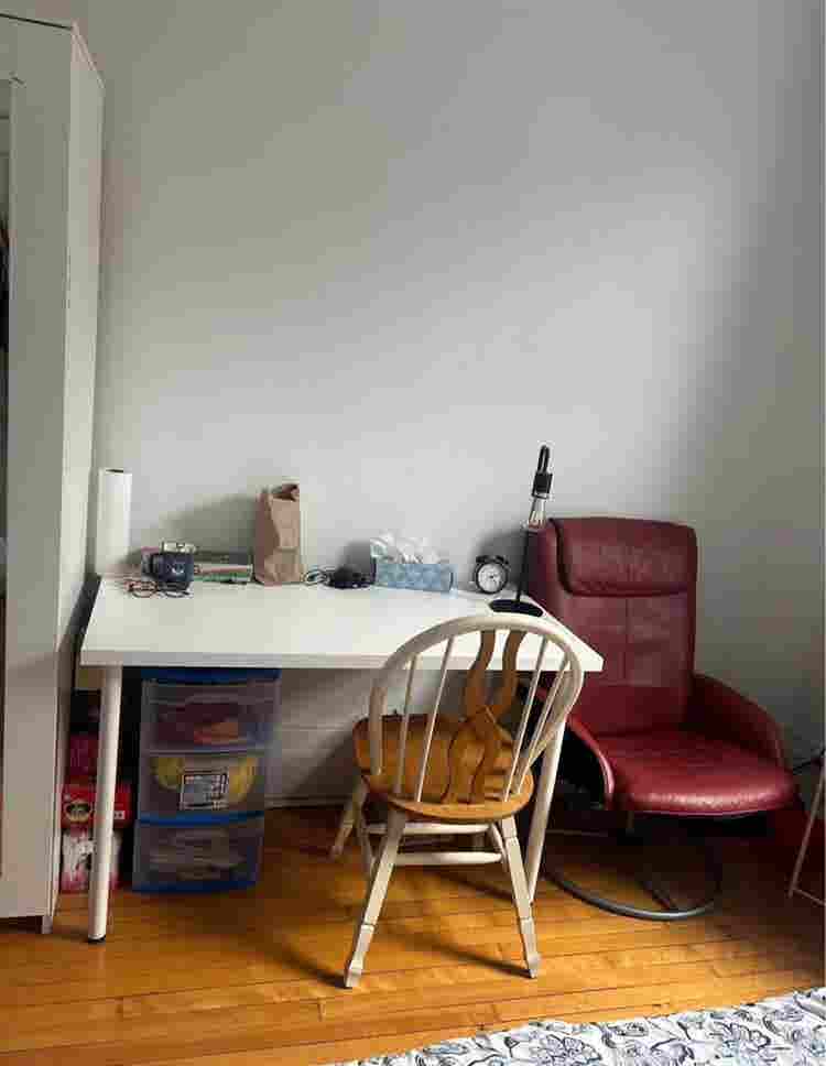 Roommate wanted for
