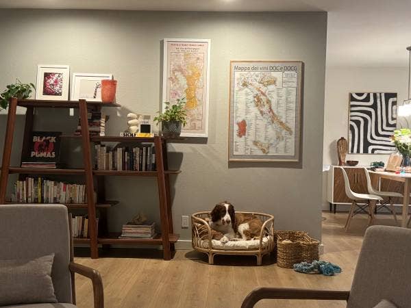 Room with private yard for rent
