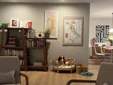 Room with private yard for rent