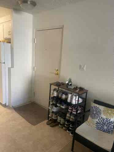 New Listing - sublet