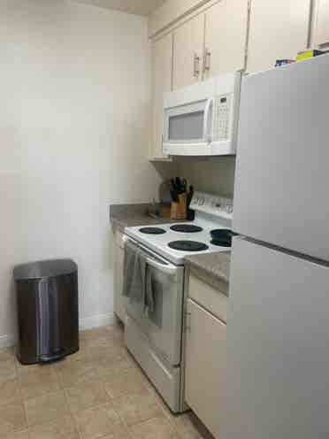 New Listing - sublet