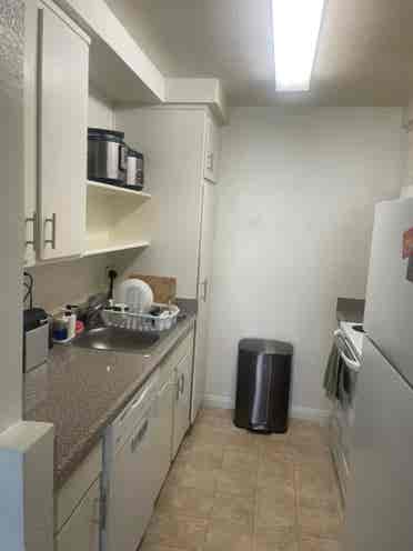 New Listing - sublet
