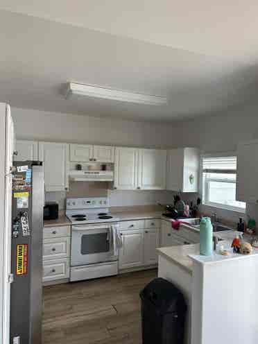 Roommate wanted !