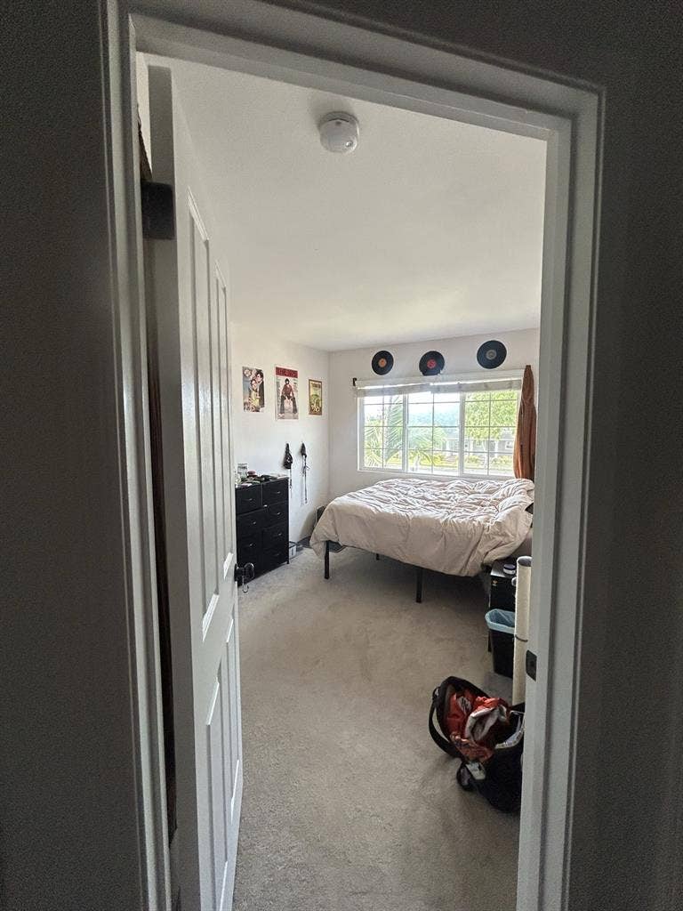 Roommate wanted !