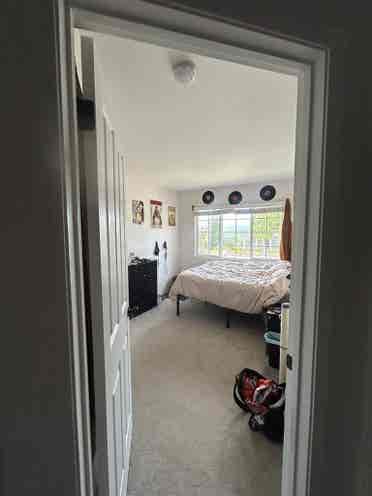 Roommate wanted !