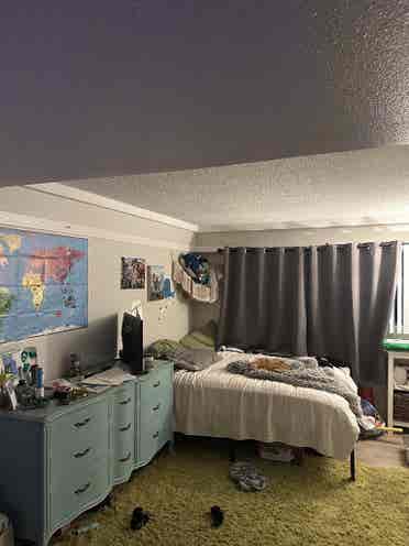 Large master bedroom for rent