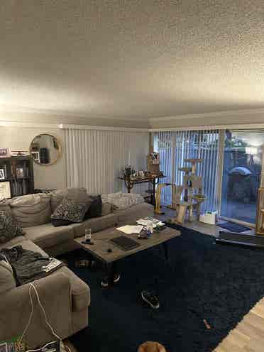 Large master bedroom for rent