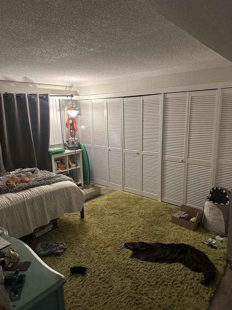 Large master bedroom for rent