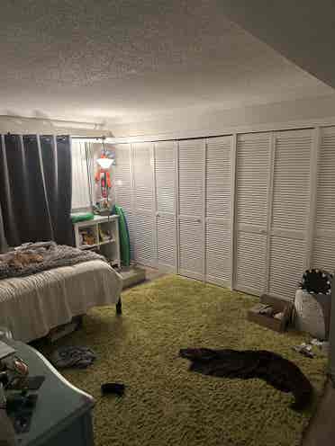 Large master bedroom for rent