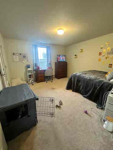 Canvas Townhomes Apt Spring .