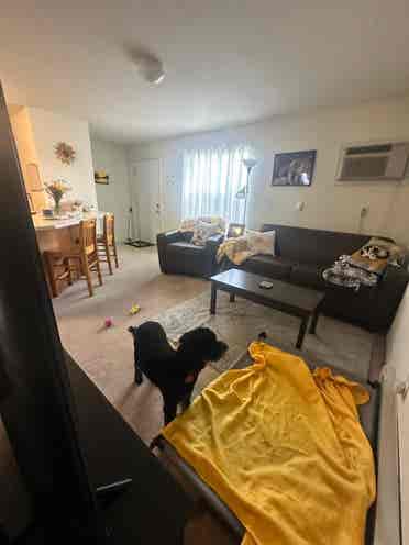 Canvas Townhomes Apt Spring .