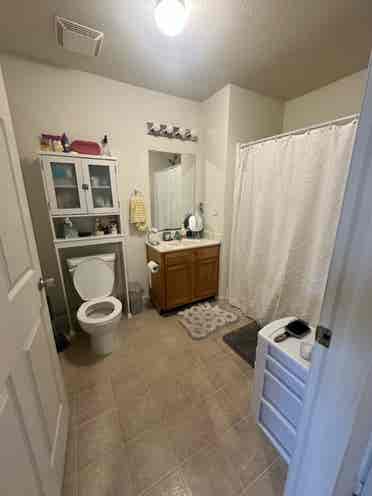 Canvas Townhomes Apt Spring .