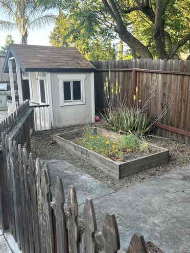 New Listing-Room  in West Roseville