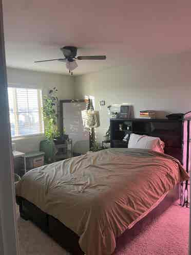 Room for Rent