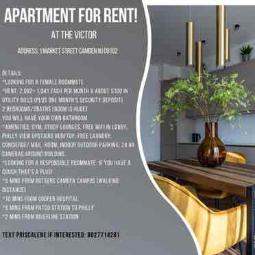 Looking for a female roommate!
