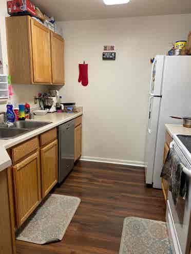 Apartment for rent