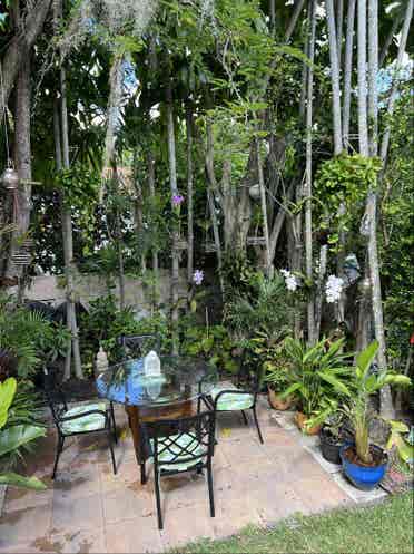 Room for rent in cozy house