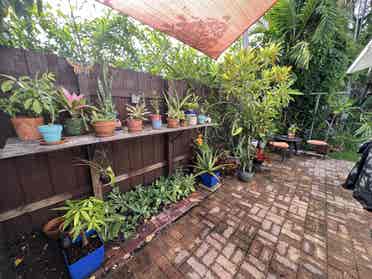 Room for rent in cozy house