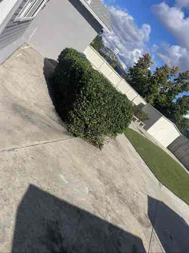House with room for rent