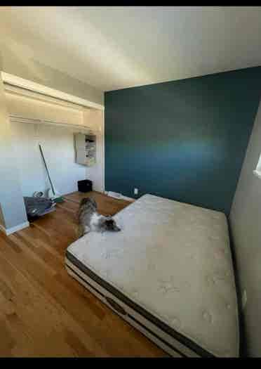 Short term rooms available!