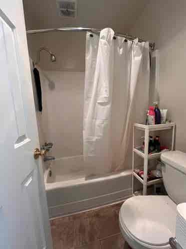 Looking for a girl to share bedroom