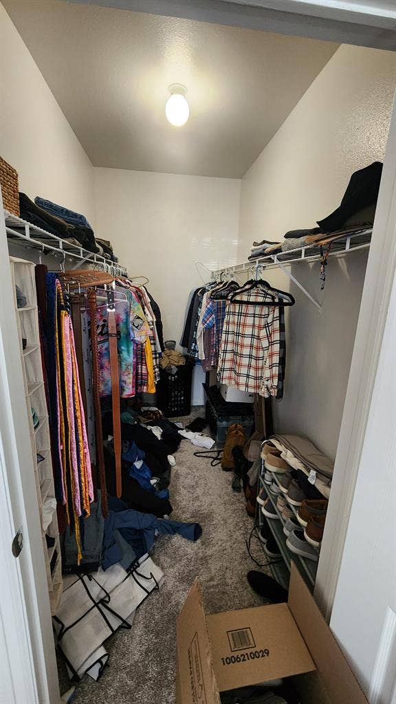 Roommate Needed