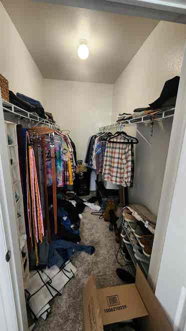 Roommate Needed