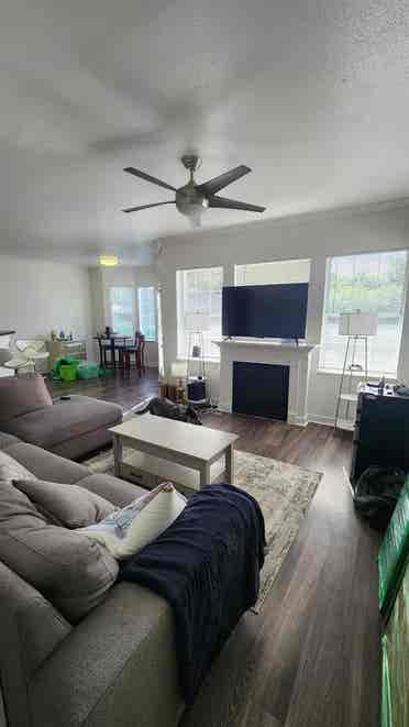 Roommate Needed