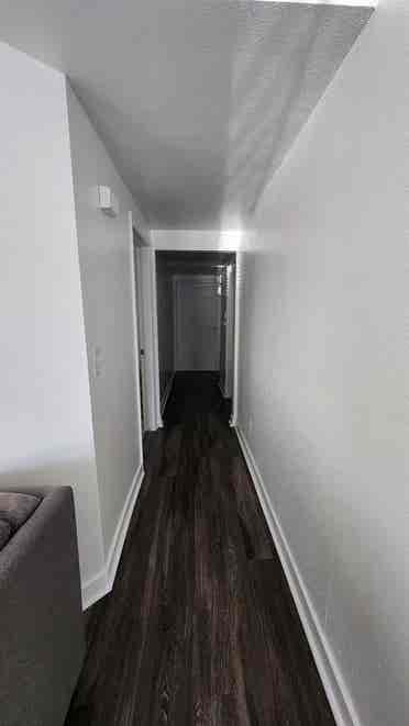 Roommate Needed