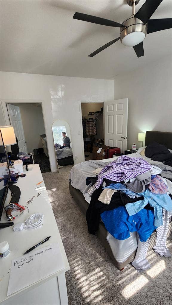 Roommate Needed