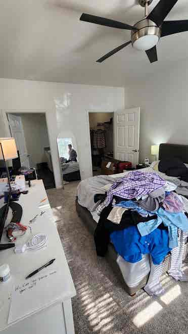 Roommate Needed