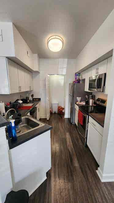 Roommate Needed