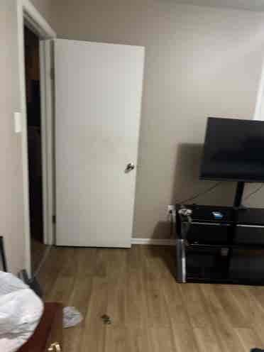 LOOKING FOR ROOMMATE