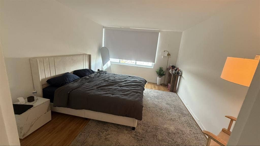 Looking for a female roommate
